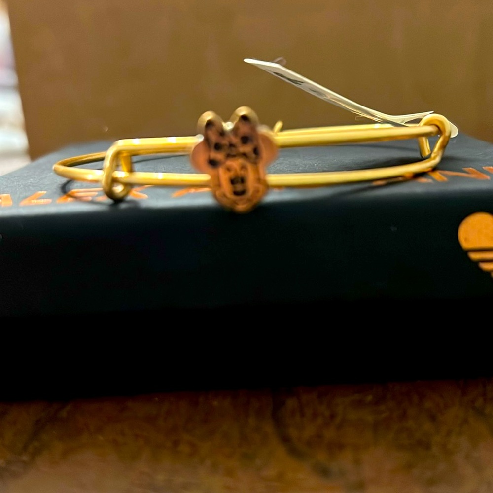 Alex and Ani Retired Disney Minnie Slider Bracelet